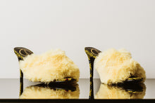 Load image into Gallery viewer, DAISY