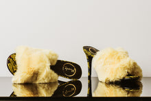 Load image into Gallery viewer, DAISY