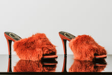 Load image into Gallery viewer, DAISY