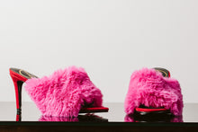 Load image into Gallery viewer, DAISY