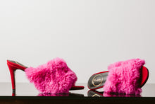 Load image into Gallery viewer, DAISY